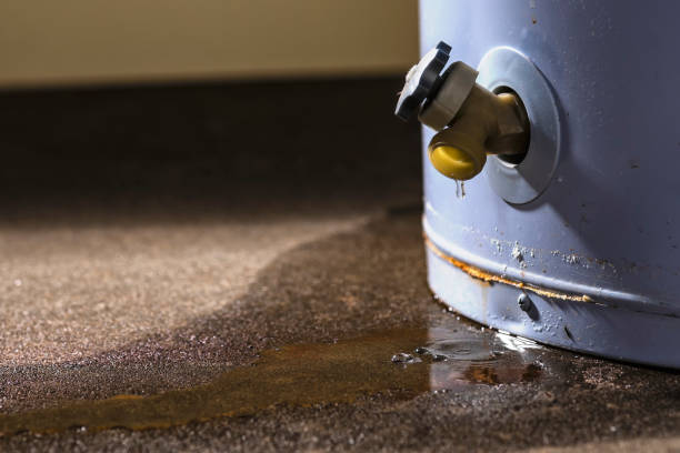Best Local water damage restoration  in Milan, OH
