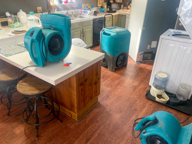 Best Water damage restoration near me  in Milan, OH