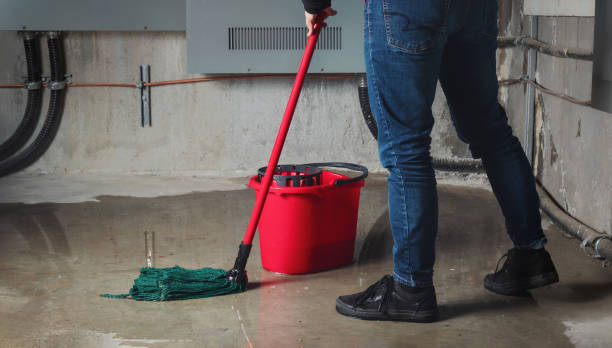 Best Flood restoration services  in Milan, OH