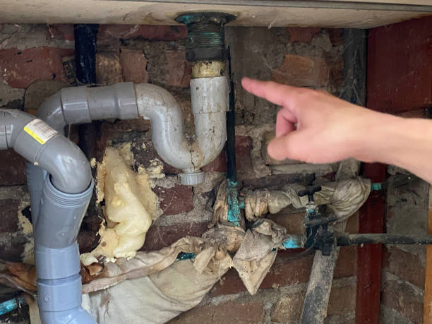  Milan, OH Water damage restoration Pros