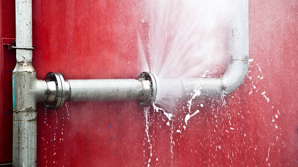 Best Carpet water damage restoration  in Milan, OH